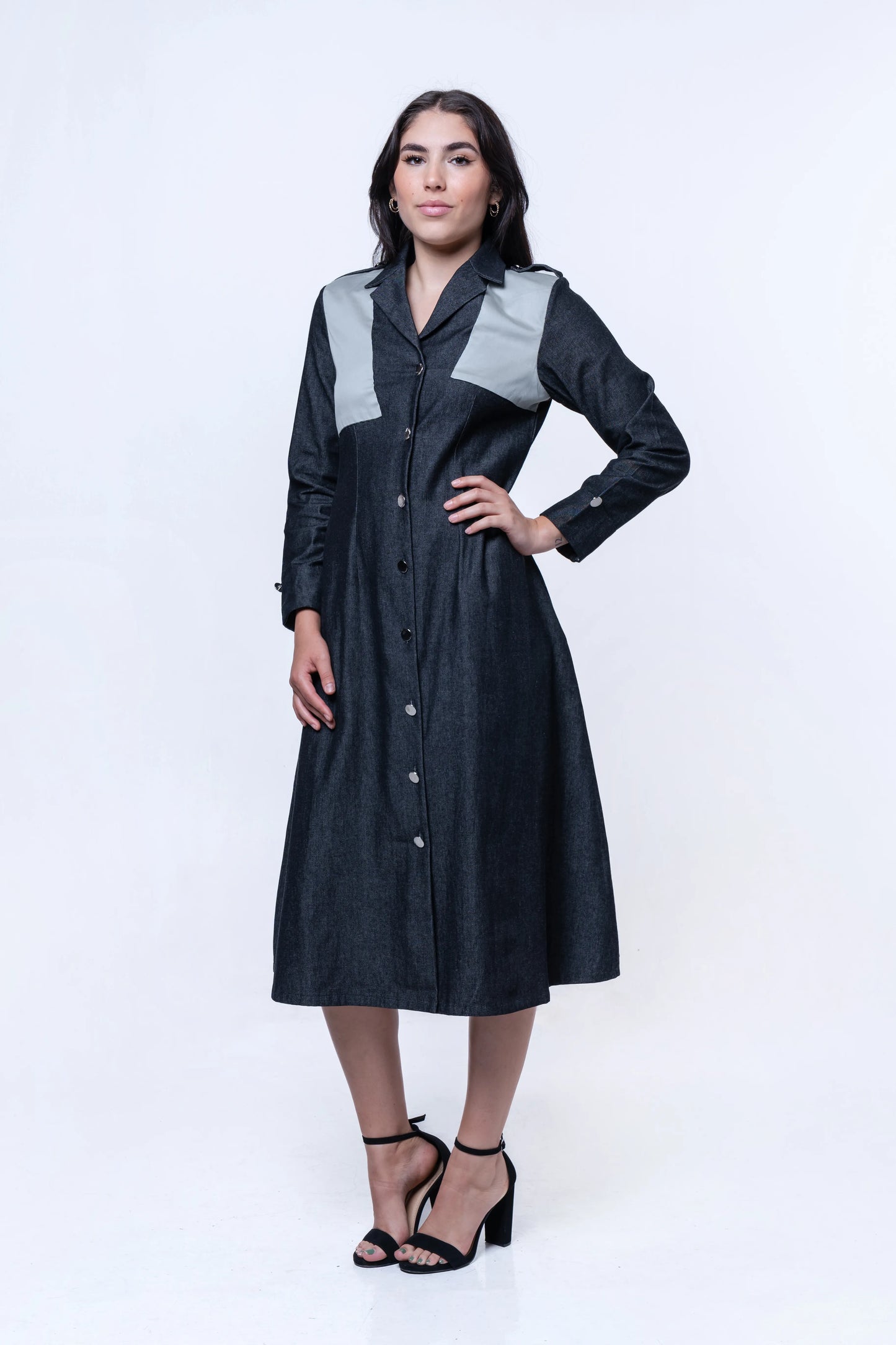 Hematite Denim A-Line Dress